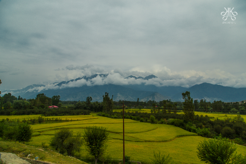 Kashmir_KaynatKaziPhotography_2015-7-1