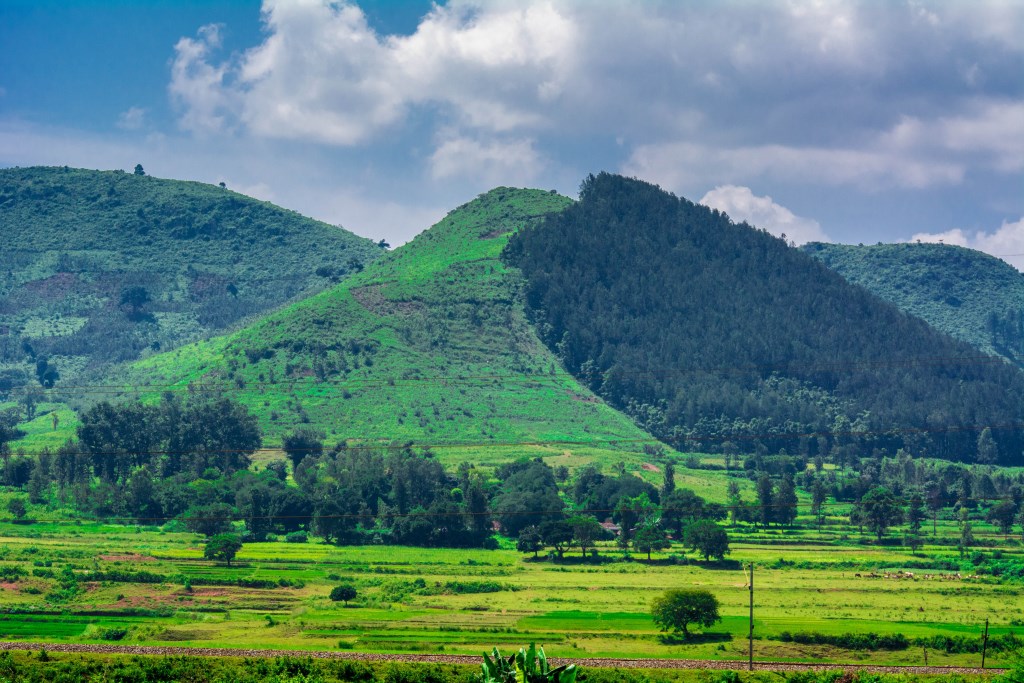 Araku-valley-Andhra-Pradesh.jpg